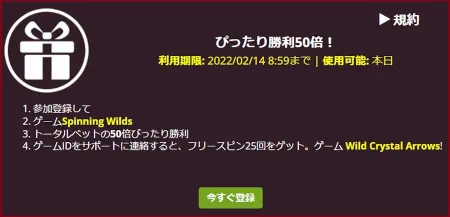 ラッキーニッキー ぴったり勝利50倍について解説しています。